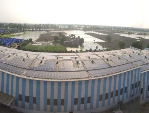 Divvy Corporation, Amritsar